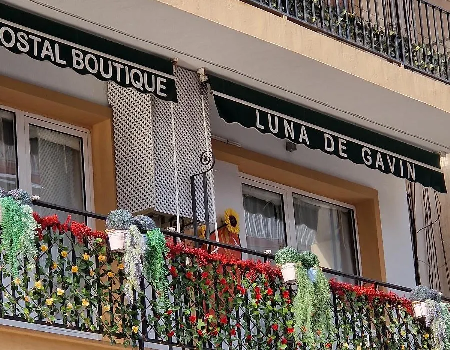 Hostal Boutique Luna de Gavín-1